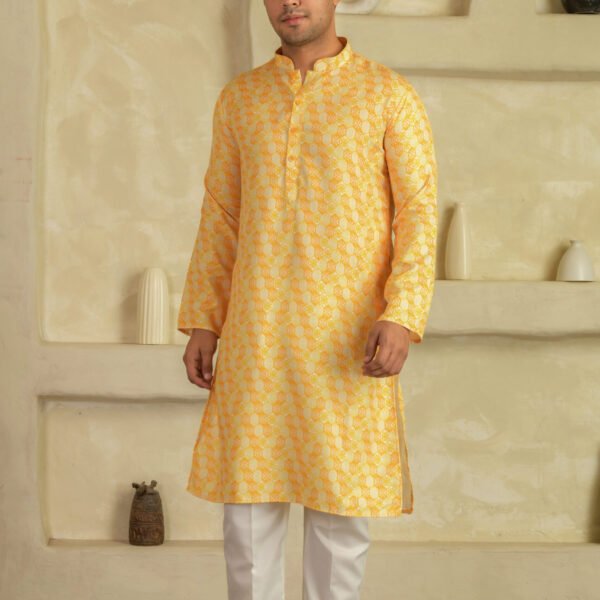 Elegant Printed Kurta 04