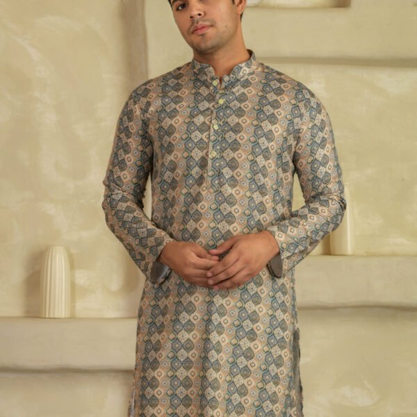 Elegant Printed Kurta 13